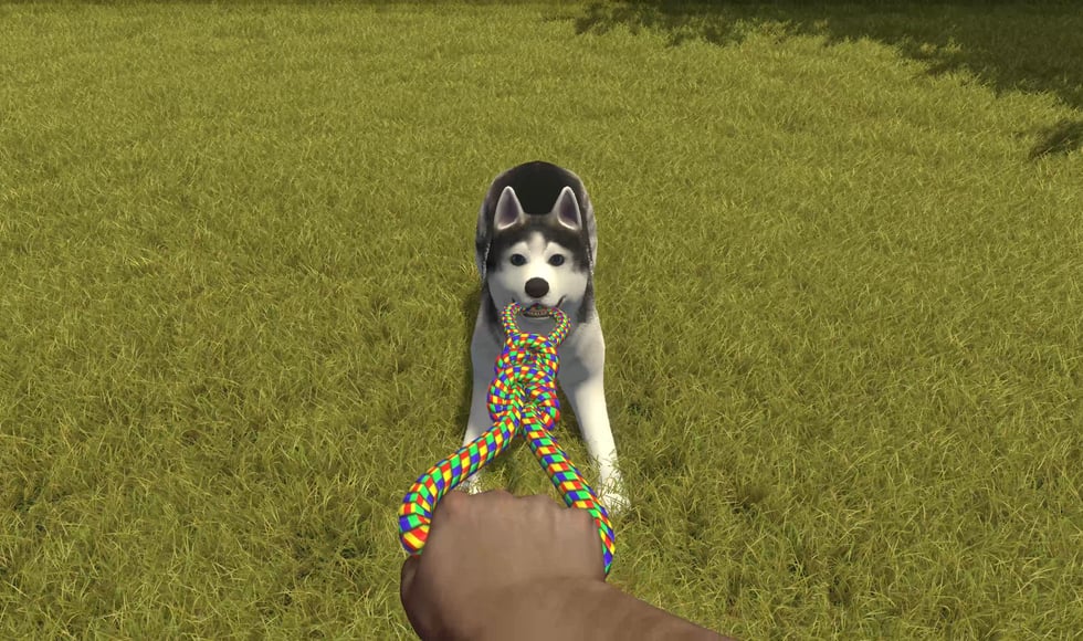 House Flipper Pets