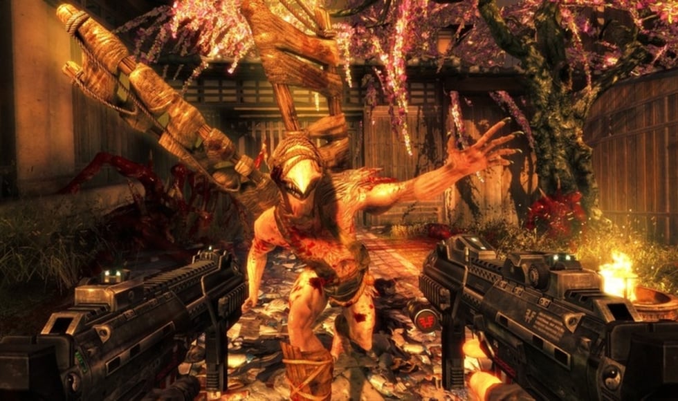 Shadow Warrior
