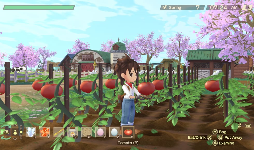 Story of Seasons: A Wonderful Life