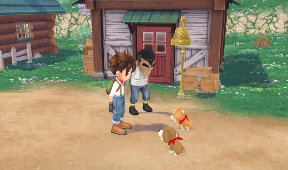 Story of Seasons: A Wonderful Life