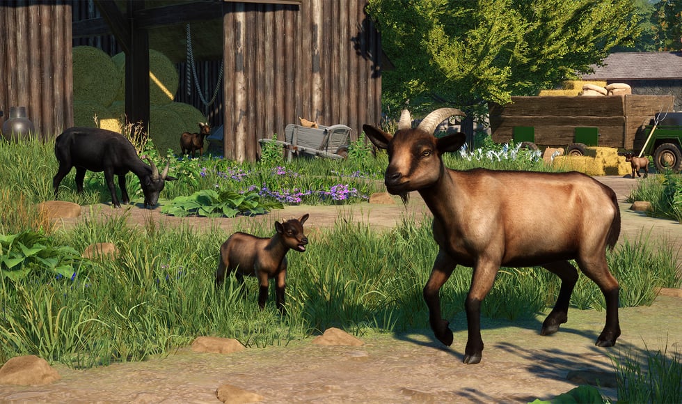 Planet Zoo: Barnyard Animal Pack